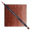 Kredka Derwent Procolour 65 Nutmeg