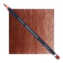 Kredka Derwent Procolour 65 Nutmeg