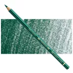 https://www.tintadlaplastykow.pl/gfx/photos/offer_63848647/faber-castell-polychromos-159-hookers-green.webp