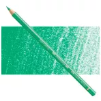 https://www.tintadlaplastykow.pl/gfx/photos/offer_63848652/faber-castell-polychromos-162-light-phthalo-green.webp