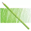 Kredka Faber Castell Polychromos 171 Light Green