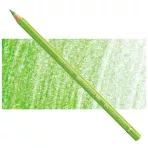 https://www.tintadlaplastykow.pl/gfx/photos/offer_63848653/faber-castell-polychromos-171-light-green.webp