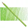Kredka Faber Castell Polychromos 171 Light Green