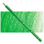 https://www.tintadlaplastykow.pl/gfx/photos/offer_63848655/faber-castell-polychromos-112-leaf-green.webp