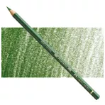 https://www.tintadlaplastykow.pl/gfx/photos/offer_63848657/faber-castell-polychromos-167-permanent-green-olive.webp