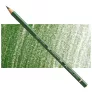 Kredka Faber Castell Polychromos 167 Permanent Green Olive