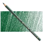 https://www.tintadlaplastykow.pl/gfx/photos/offer_63848660/faber-castell-polychromos-165-juniper-green.webp