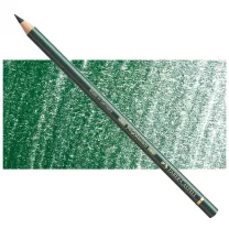 Kredka Faber Castell Polychromos 165 Juniper Green