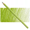 Kredka Faber Castell Polychromos 170 May Green