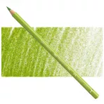 https://www.tintadlaplastykow.pl/gfx/photos/offer_63848662/faber-castell-polychromos-170-may-green.webp