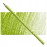 Kredka Faber Castell Polychromos 170 May Green