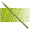 Kredka Faber Castell Polychromos 168 Earth Green Yellowish