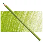 https://www.tintadlaplastykow.pl/gfx/photos/offer_63848663/faber-castell-polychromos-168-earth-green-yellowish.webp