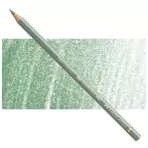 https://www.tintadlaplastykow.pl/gfx/photos/offer_63848665/faber-castell-polychromos-172-earth-green.webp
