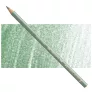 Kredka Faber Castell Polychromos 172 Earth Green
