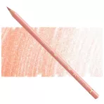 https://www.tintadlaplastykow.pl/gfx/photos/offer_63848673/faber-castell-polychromos-189-cinnamon.webp