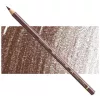 Kredka Faber Castell Polychromos 176 Van Dyck Brown