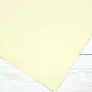 Papier Hahnemuhle Ingres Pastel 100 gsm 62,5 x 48 cm Ivory 10627252