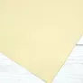 Papier Hahnemuhle Ingres Pastel 100 gsm 62,5 x 48 cm Antique 10627253
