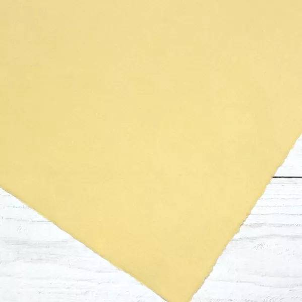 https://www.tintadlaplastykow.pl/gfx/photos/offer_64038177/papier-hahnemuhle-ingres-pastel-100-gsm-625-x-48-cm-yellowish-10627254_2_1410675935154327.webp