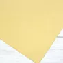 Papier Hahnemuhle Ingres Pastel 100 gsm 62,5 x 48 cm Yellowish 10627254