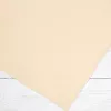 Papier Hahnemuhle Ingres Pastel 100 gsm 62,5 x 48 cm Rose Pink 10627255