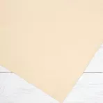 https://www.tintadlaplastykow.pl/gfx/photos/offer_64038178/papier-hahnemuhle-ingres-pastel-100-gsm-625-x-48-cm-rose-pink-10627255_2_420699274154501.webp