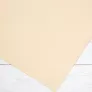 Papier Hahnemuhle Ingres Pastel 100 gsm 62,5 x 48 cm Rose Pink 10627255