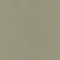 Papier Hahnemuhle Ingres Pastel 100 gsm 62,5 x 48 cm Mouse Grey 10627257