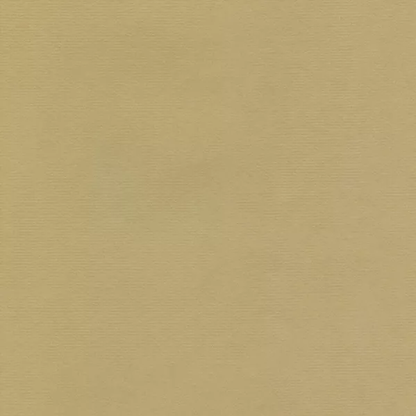 https://www.tintadlaplastykow.pl/gfx/photos/offer_64038183/papier-hahnemuhle-ingres-pastel-100-gsm-625-x-48-cm-grey-brown-10627260_2_938864341155612.webp