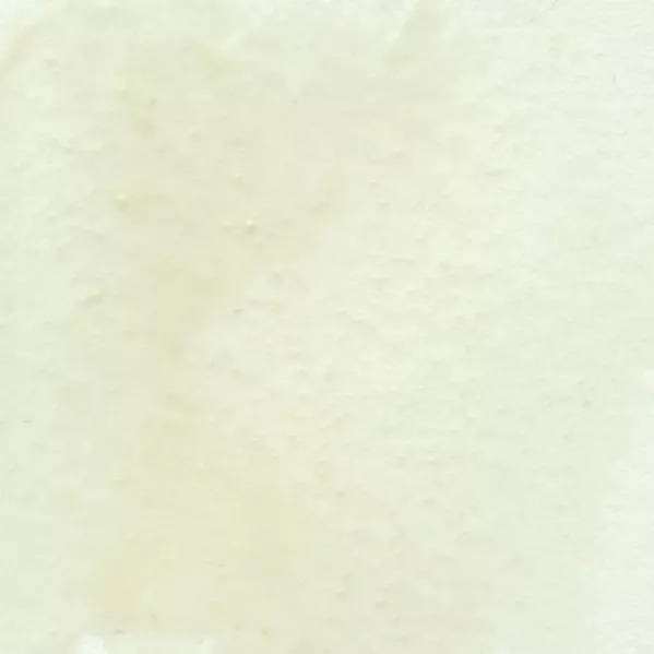 https://www.tintadlaplastykow.pl/gfx/photos/offer_64793696/farba-akwarelowa-kuretake-gansai-tambi-101-gofun-white_2_2100350698160952.webp