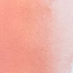 https://www.tintadlaplastykow.pl/gfx/photos/offer_65257408/farba-akwarelowa-kuretake-gansai-tambi-017-coral-pink_2_858694931150709.webp