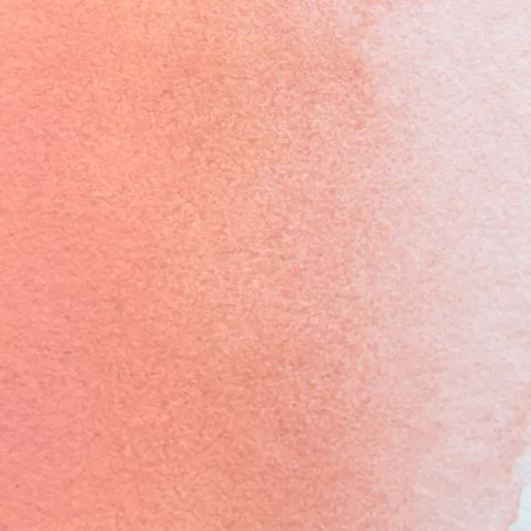 https://www.tintadlaplastykow.pl/gfx/photos/offer_65257408/farba-akwarelowa-kuretake-gansai-tambi-017-coral-pink_2_858694931150709.webp