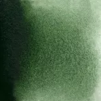 https://www.tintadlaplastykow.pl/gfx/photos/offer_65257425/farba-akwarelowa-kuretake-gansai-tambi-504-green-gray_2_557310684121757.webp