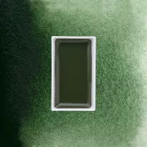 Farba Akwarelowa Kuretake Gansai Tambi 504 Green Gray