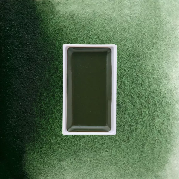 https://www.tintadlaplastykow.pl/gfx/photos/offer_65257425/farba-akwarelowa-kuretake-gansai-tambi-504-green-gray_2_1716802615121753.webp