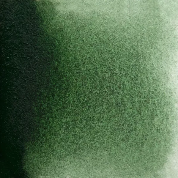https://www.tintadlaplastykow.pl/gfx/photos/offer_65257425/farba-akwarelowa-kuretake-gansai-tambi-504-green-gray_2_557310684121757.webp