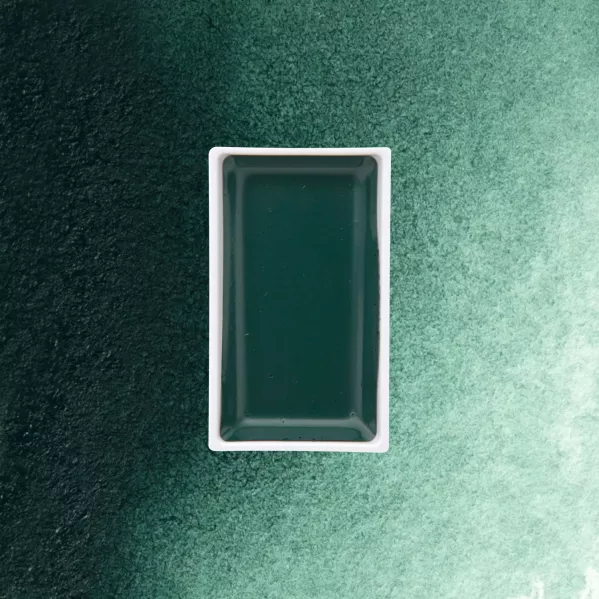 https://www.tintadlaplastykow.pl/gfx/photos/offer_65257427/farba-akwarelowa-kuretake-gansai-tambi-506-shadow-green_2_417902308110602.webp