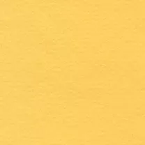 Papier Lana Colours 160 gsm A4 Canary
