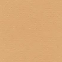 Papier Lana Colours 160 gsm A4 Sand