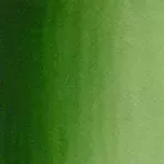 https://www.tintadlaplastykow.pl/gfx/photos/offer_67317647/akwarele_winsor_newton_cotman_314_hookers_green_light.webp