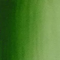 https://www.tintadlaplastykow.pl/gfx/photos/offer_67317647/t198_akwarele_winsor_newton_cotman_314_hookers_green_light.webp