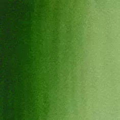 https://www.tintadlaplastykow.pl/gfx/photos/offer_67317647/akwarele_winsor_newton_cotman_314_hookers_green_light.webp
