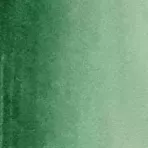 https://www.tintadlaplastykow.pl/gfx/photos/offer_67317648/akwarele_winsor_newton_cotman_312_hookers_green_dark.webp