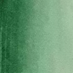 https://www.tintadlaplastykow.pl/gfx/photos/offer_67317648/akwarele_winsor_newton_cotman_312_hookers_green_dark.webp