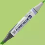 Marker Kuretake Kurecolor Twin Ws 502 Pale Green