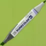 Marker Kuretake Kurecolor Twin Ws 504 Light Green