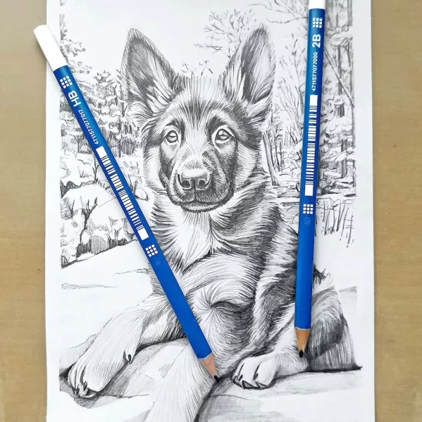 https://www.tintadlaplastykow.pl/gfx/photos/offer_69679597/olowek-pentel-hb_2_84376348143601.webp