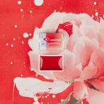 https://www.tintadlaplastykow.pl/gfx/photos/offer_69684467/akwarela-biale-noce-396-pyrrole-red1_2_3670960111105.webp