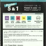 https://www.tintadlaplastykow.pl/gfx/photos/offer_69684710/pisaki-kuretake-kurecolor-fine--brush-for-manga-51-pastel-cnkc2200n6vpa_4_940664789100803.webp